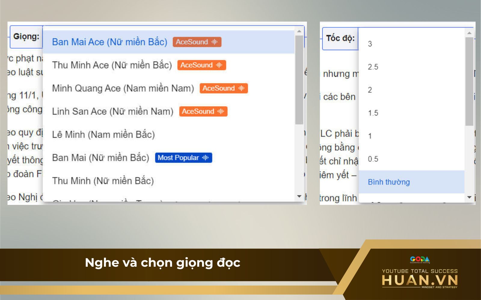 Bước 6 khi chuyển giọng nói sang văn bản trên FPT.AI: Nghe và chọn giọng đọc