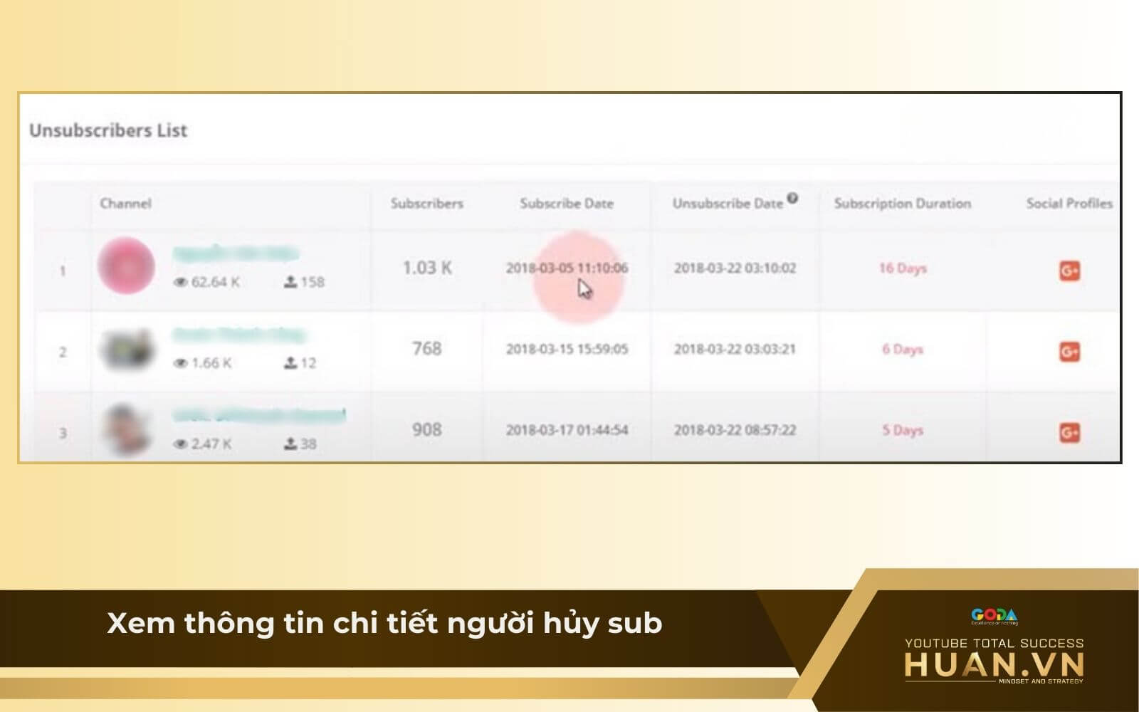 Cách kiểm tra ai hủy sub YouTube qua Vidooly - B4: Xem thông tin chi tiết người hủy sub