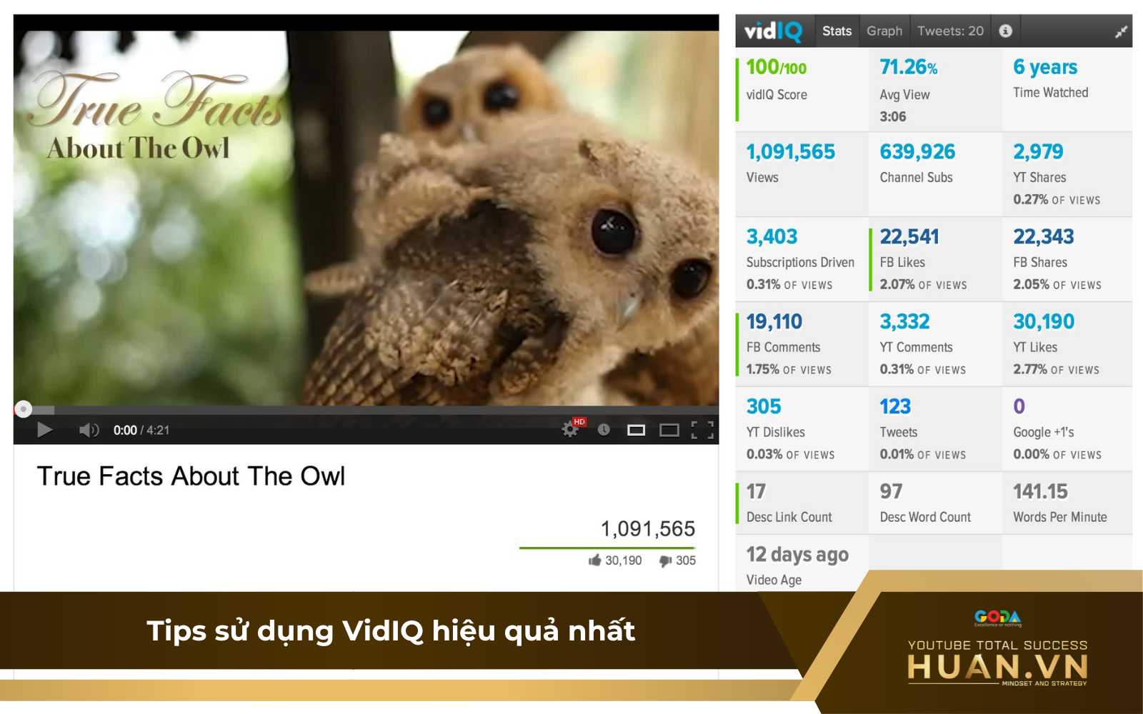 tips-su-dung-vidiq-hieu-qua Tips sử dụng hiệu quả VidIQ là gì?