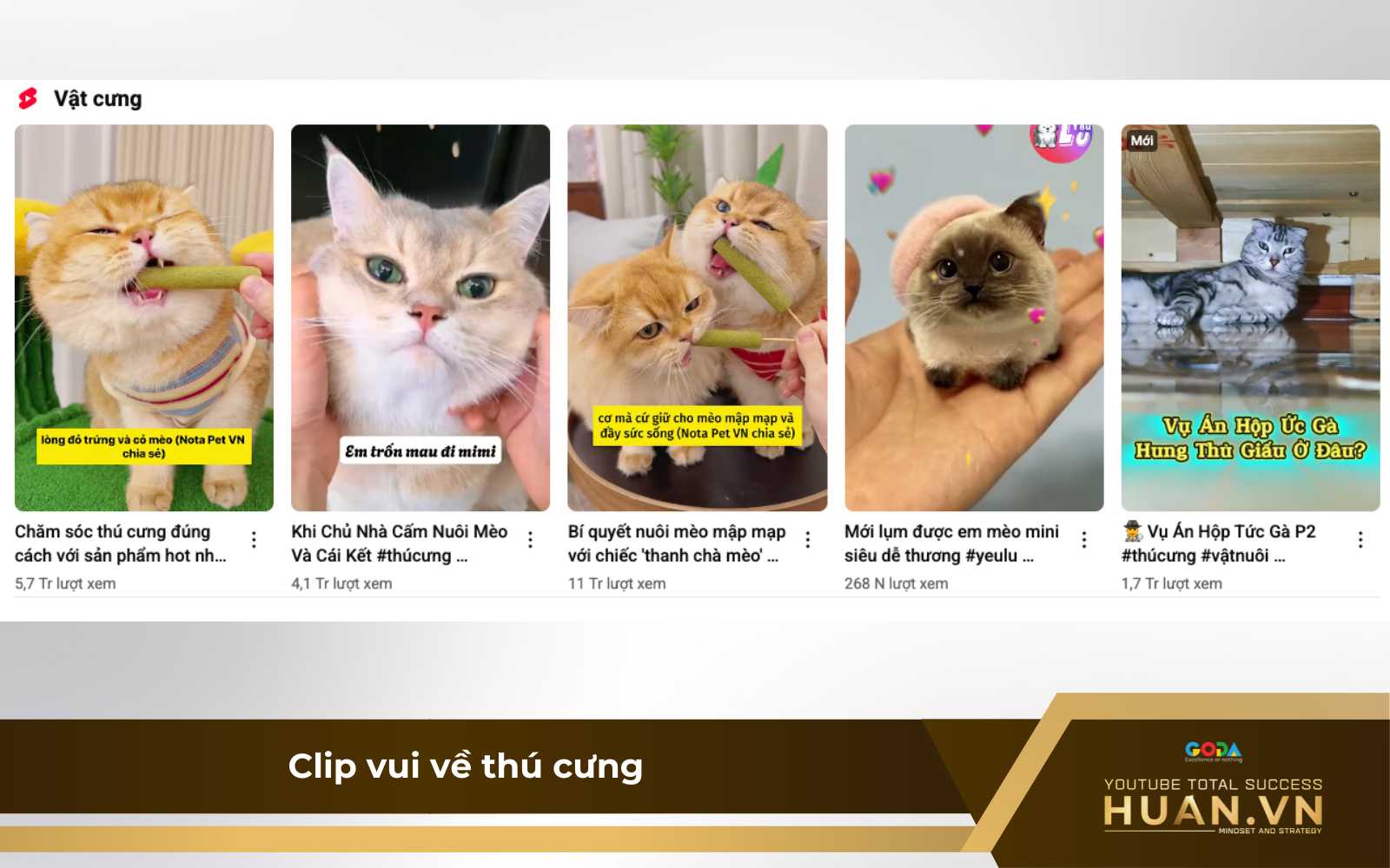 y-tuong-lam-youtube-shorts-clip-ve-thu-cung Ý tưởng làm YouTube Shorts về thú cưng